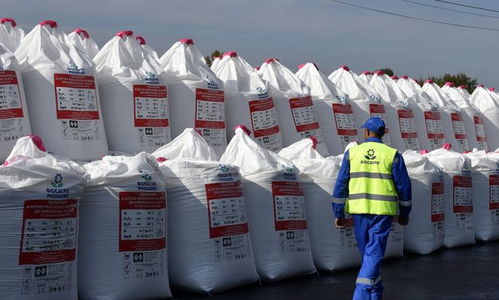 美財政部批準(zhǔn)與俄羅斯進行化肥 農(nóng)產(chǎn)品交易