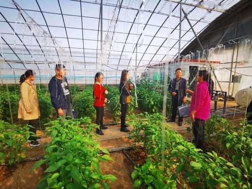 廣饒 加快農(nóng)業(yè)高質(zhì)量發(fā)展 推進鄉(xiāng)村振興惠民生