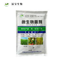 2021年微生物肥料市場行情深度解析 價格、報價與批發渠道探秘